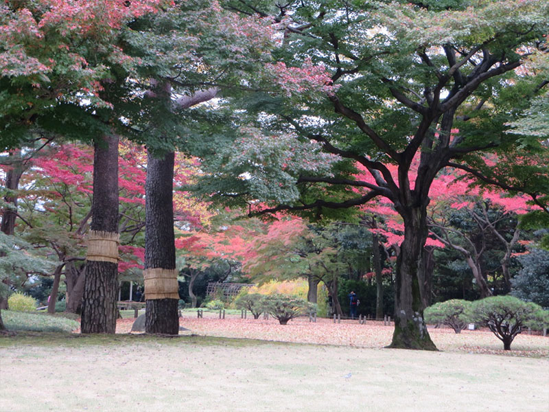 '写真館